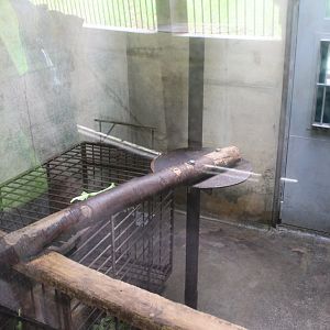 Indoor exhibit for Asian monkeys