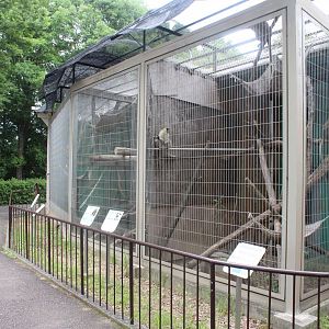 Outdoor exhibit for various monkeys