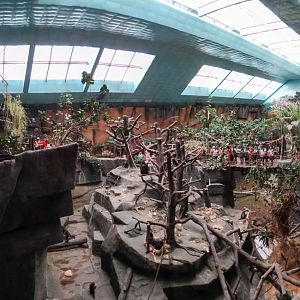 Jul. 2018 - Tropic World - Africa Panorama (9 Species)