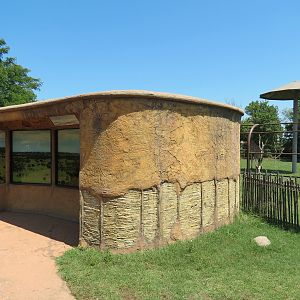 Giraffe Experience - Village