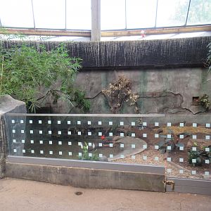 Toucan Ridge - Sunbittern/Scarlet Ibis/Red-footed Tortoise Exhibit