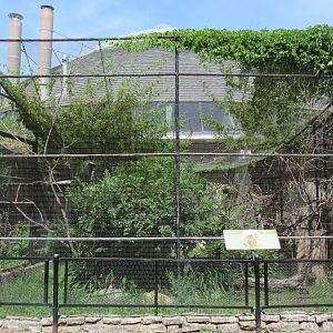 Toucan Ridge - Common Squirrel Monkey Outdoor Exhibit