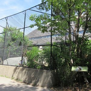 Toucan Ridge - Southern Ground Hornbill Exhibit
