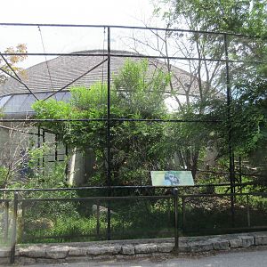Toucan Ridge - Cotton-top Tamarin Outdoor Exhibit