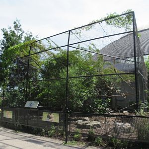 Toucan Ridge - Giant Wood Rail/Chestnut-mandibled Toucan/Mara Outdoor Exhibit
