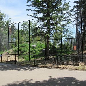 Grey Wolf Exhibit - New in 2018