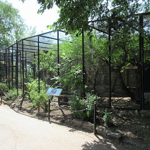 Peregrine Falcon + Bald Eagle Exhibits