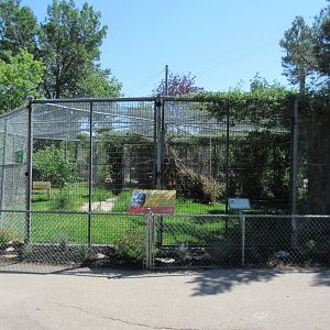 Canada Lynx Exhibit #1