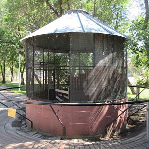 Burrowing Owl Exhibit