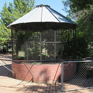 American Kestrel Exhibit