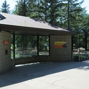 Grizzly Bear Exhibit