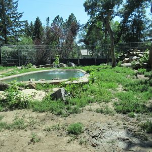 Grizzly Bear Exhibit