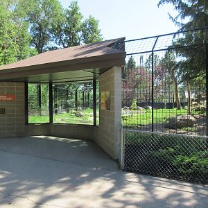 Grizzly Bear Exhibit
