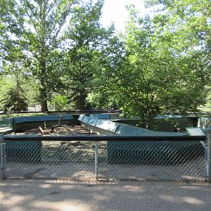 Black-tailed Prairie Dog + American Badger Exhibits