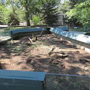 Black-tailed Prairie Dog Exhibit