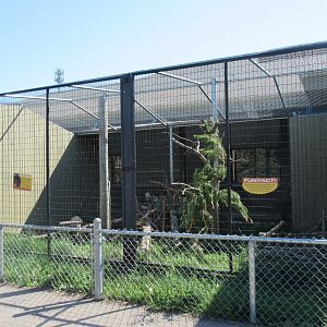 Discovery Center - North American Porcupine Exhibit