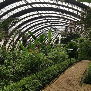 Butterfly garden Monteverde.