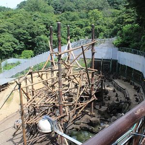 Japanese macaque exhibit