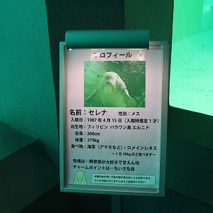 Dugong sign