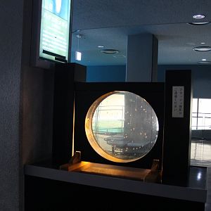 Clione exhibit