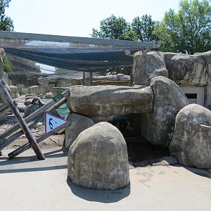 African Penguin Exhibit