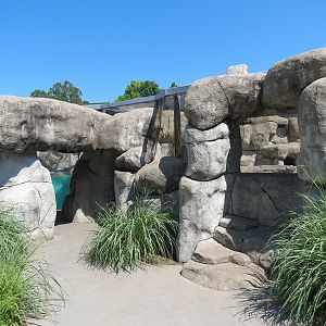 African Penguin Exhibit