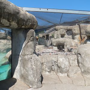 African Penguin Exhibit