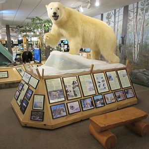 North American Bear Center