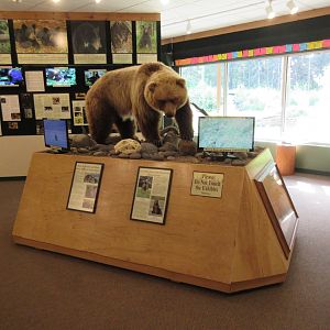 North American Bear Center