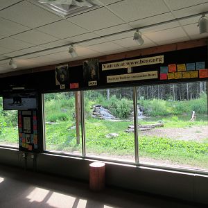 2.5 Acre American Black Bear Exhibit