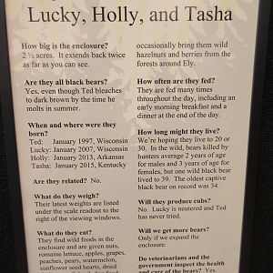 North American Bear Center - Bear Bios