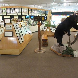 North American Bear Center