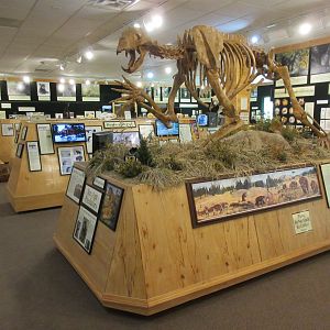 North American Bear Center - Giant Short-faced Bear