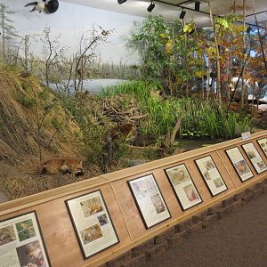 North American Bear Center