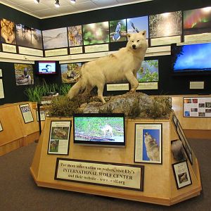 North American Bear Center