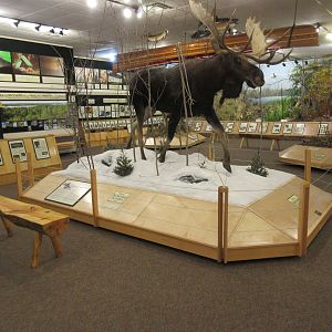 North American Bear Center