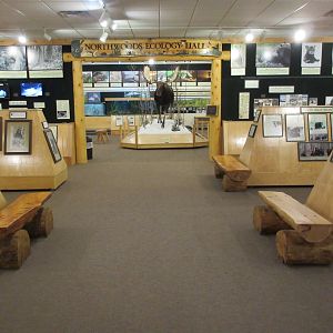 North American Bear Center