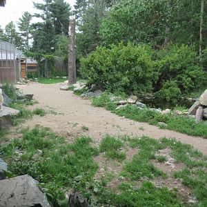 1.25 Acre Grey Wolf Exhibit