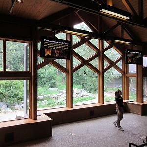 1.25 Acre Grey Wolf Exhibit