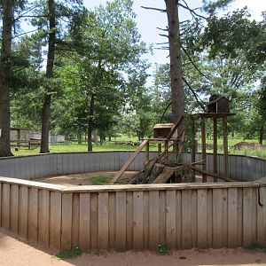 North American Porcupine Exhibit