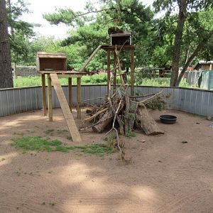 North American Porcupine Exhibit