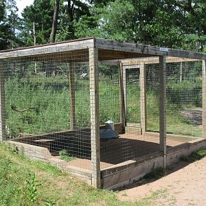 Lady Amherst's Pheasant Exhibit
