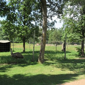 Emu Exhibit