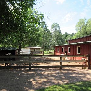 Alpaca/Llama Exhibit