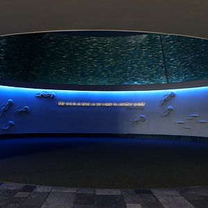 pacific sardine tank