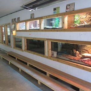 Tropical House - Assorted Terrariums