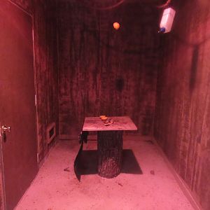 Tropical House - Egyptian Fruit Bat Exhibit