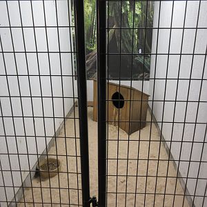 Tropical House - Coati Exhibit (the entire exhibit!)