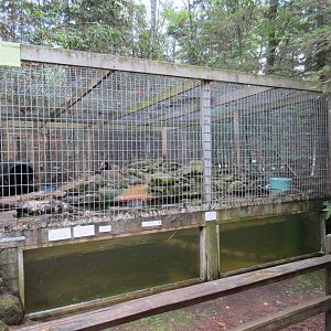North American River Otter Exhibit