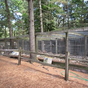 Various Aviaries